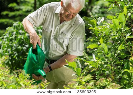 Taking Care Of Plants