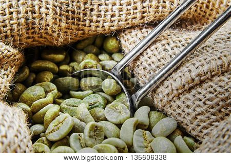 Green coffee beans in a jute bag