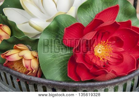 Fake plastic flowers that float in a pool.