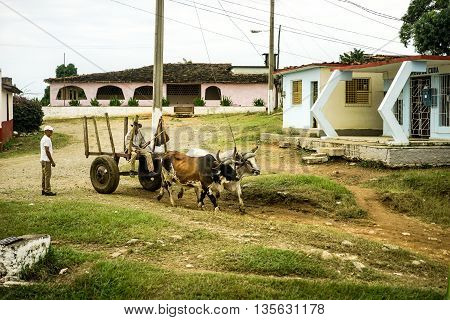 Valle de los Ingenios Trinidad Cuba - January 14 2016: in the village next to Slave Tower Manaca Iznaga which is preserved from Cuba's past when slavery was legal uses the city's residents still oxcarts as the preferred vehicle