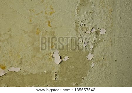 brick ditty background or texture for design