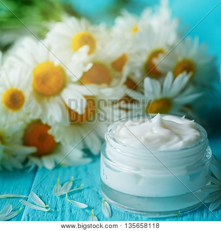 Cosmetic cream with camomile flower for a body and face on blue wooden table.