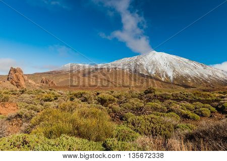 Rock on volcanic landscape Teide Tenerife island