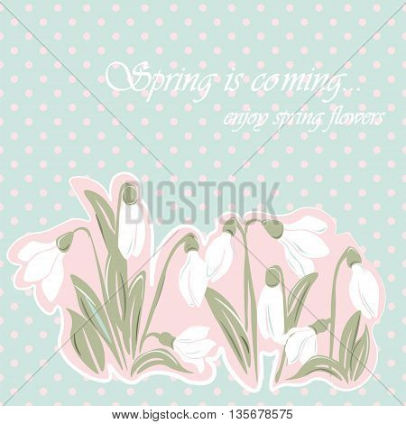 Snowdrop flowers Blossom spring card. Vector spring background.Calligraphic frame. Place for text. Rose quartz color
