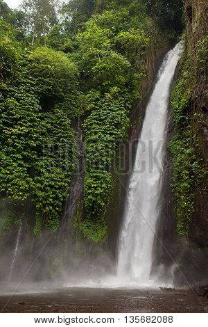 Munduk waterfall in tropic jungle, Bali, Indonesia