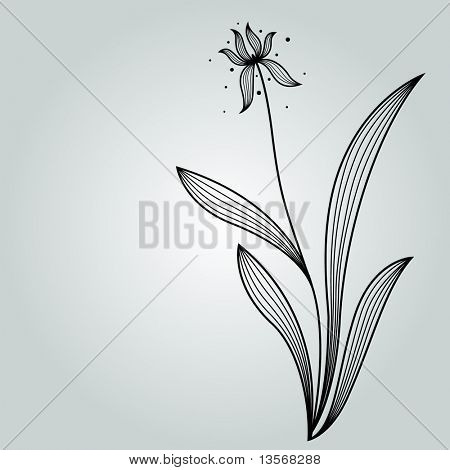   projeto de cartão da flor