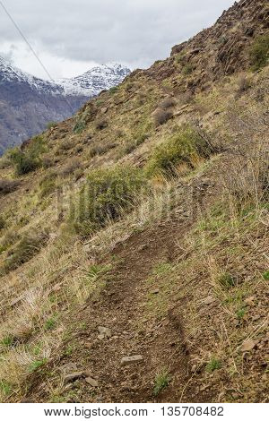 San Alfonso Valley, Trail In The  Mountain