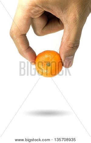 Orange Picking By Hand Isolated On White Background.