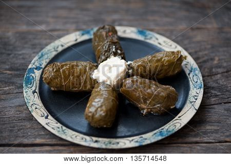 A plate with Romanian sarmale - stuffed vine leaves