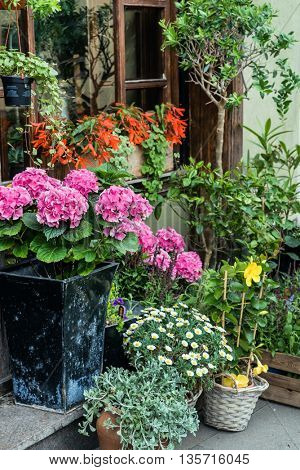 flower shop