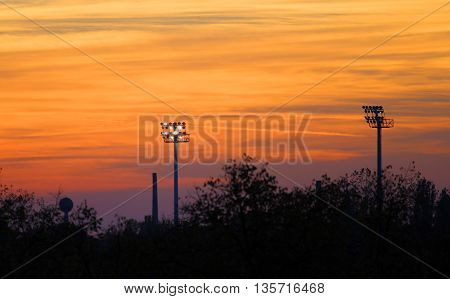 floodlight and silhouette of trees during sunrise/sunset