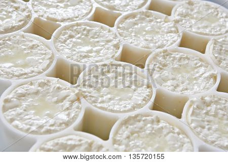 Molds With Semifinished For Production Camembert