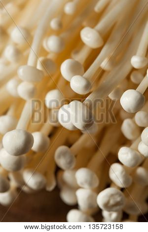 Raw Organic Enoki Mushrooms