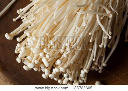 Raw Organic Enoki Mushrooms