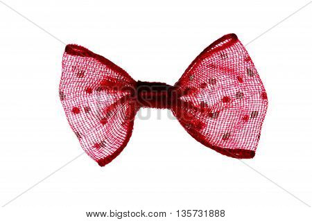 Close Up On Isolated Fancy Bow Tie