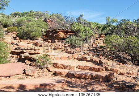 Rugged sandstone in the Z-bend gorge in Kalbarri National Park with native green plants under a clear blue sky in Kalbarri, Western Australia.