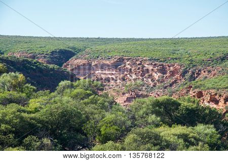 Wide open land in the Z-bend in Kalbarri National Park with native plants and red sandstone rock bluffs under a clear blue sky in Kalbarri, Western Australia.