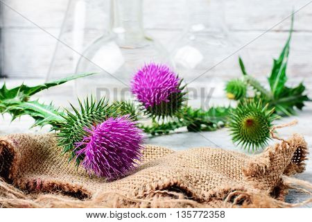 Extract From Medicinal Plants