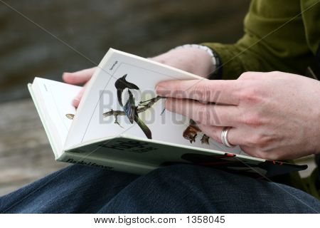  Kuş kitap
