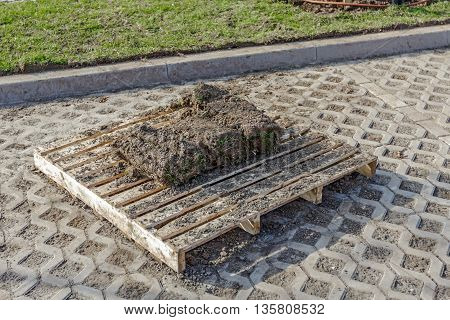 Stack of turf grass rolls for a lawn piled on wooden pallet.