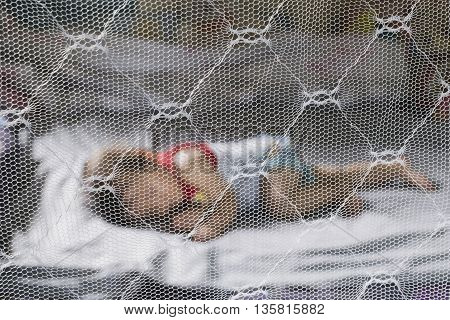 Child sleeping under mosquito net , provides mosquito nets to protect evacuees from dengue fever