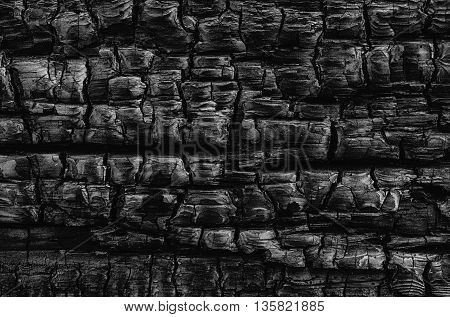 A natural abstract pattern of a wood log burned in a fire creates a black and white tetured background.