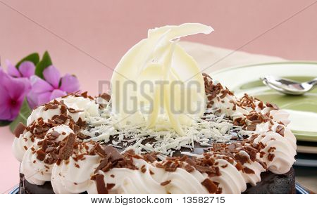 MUD Cake