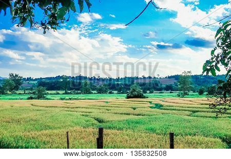 Cornfield at Pai tourist attractions too such as scenic sunset at Phra That Mae Yen. Scenic Yun Lai Pai Canyon Village China Yunnan Pai Walking Street, with instructions to Pai.