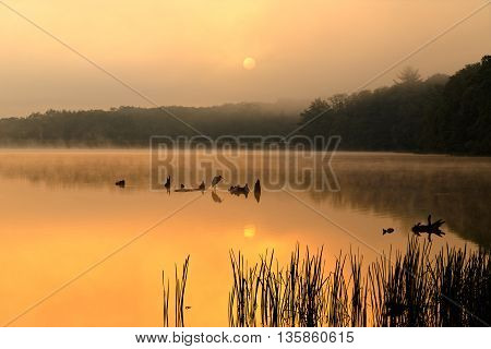 A foggy sunrise at Locust Lake State Park Schuylkill County Pennsylvania USA.