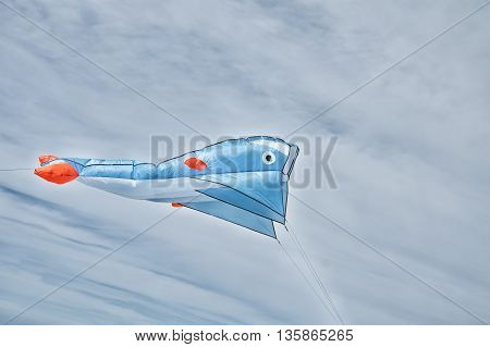 Cervia, Italy - April 30, 2016: kite flying during a festival