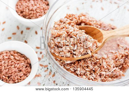 Red grain rice varieties devzira (matta) close up selective focus