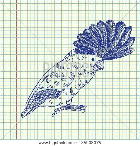 Parrot with pappus. Hand drawn vector stock illustration. Sheet ballpen drawing.