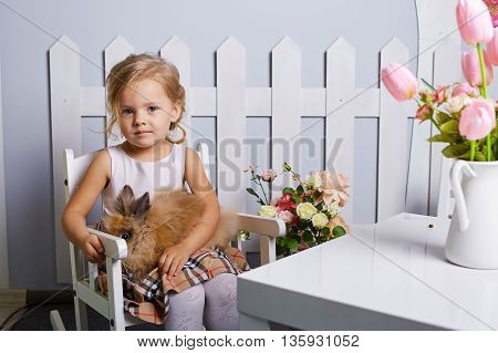 Beautiful little girl playing with rabbit.Blue-eyed blonde.White chair.Children's room. Happy small girl portrait.