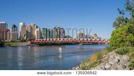 CALGARY, CANADA - JUNE 5: The Peace Bridge spanning the Bow River on June 5, 2016 in Calgary, Alberta. The Peace Bridge was designed by celebrity architect Santiago Calatrava.