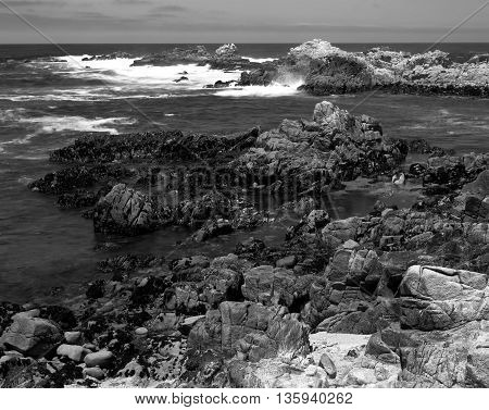 Asilomar State Marine Reserve Monterey Bay California