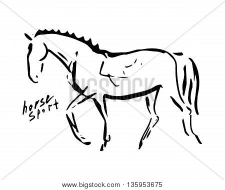 The image of a horse from lines on a white background. Abstract image - a symbol of equestrian sport (dressage). Vector illustration