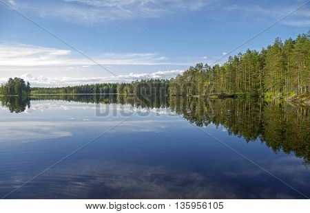 Forest lake in the evening. June. South Karelia Russia.