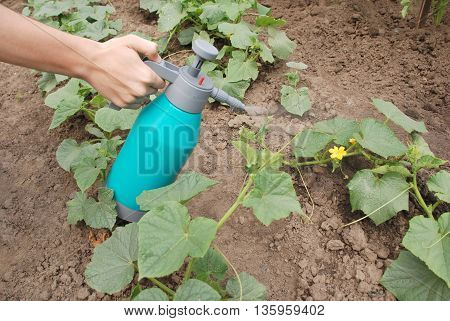 Male hand holding spray bottle against the background of Sade