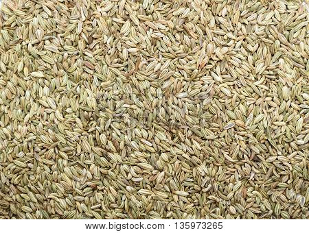 Top view of Fennel seeds background texture