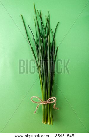 Fresh green chives on green background