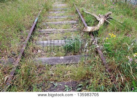 abandoned rusty rails overgrown with wils grass