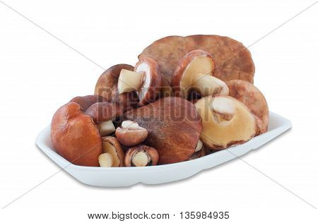 Young edible wild mushrooms Suillus lie stacked in a container for food of foam on a white background.