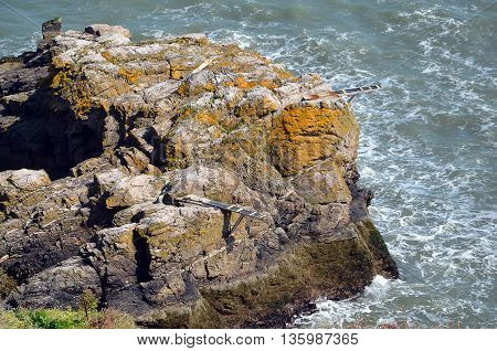 Big Rocks With Jumpboards To The Sea In Howth Peninsula