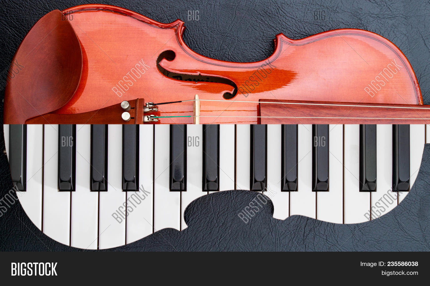 Piano Keys Violin On Image & Photo (Free Trial) Bigstock