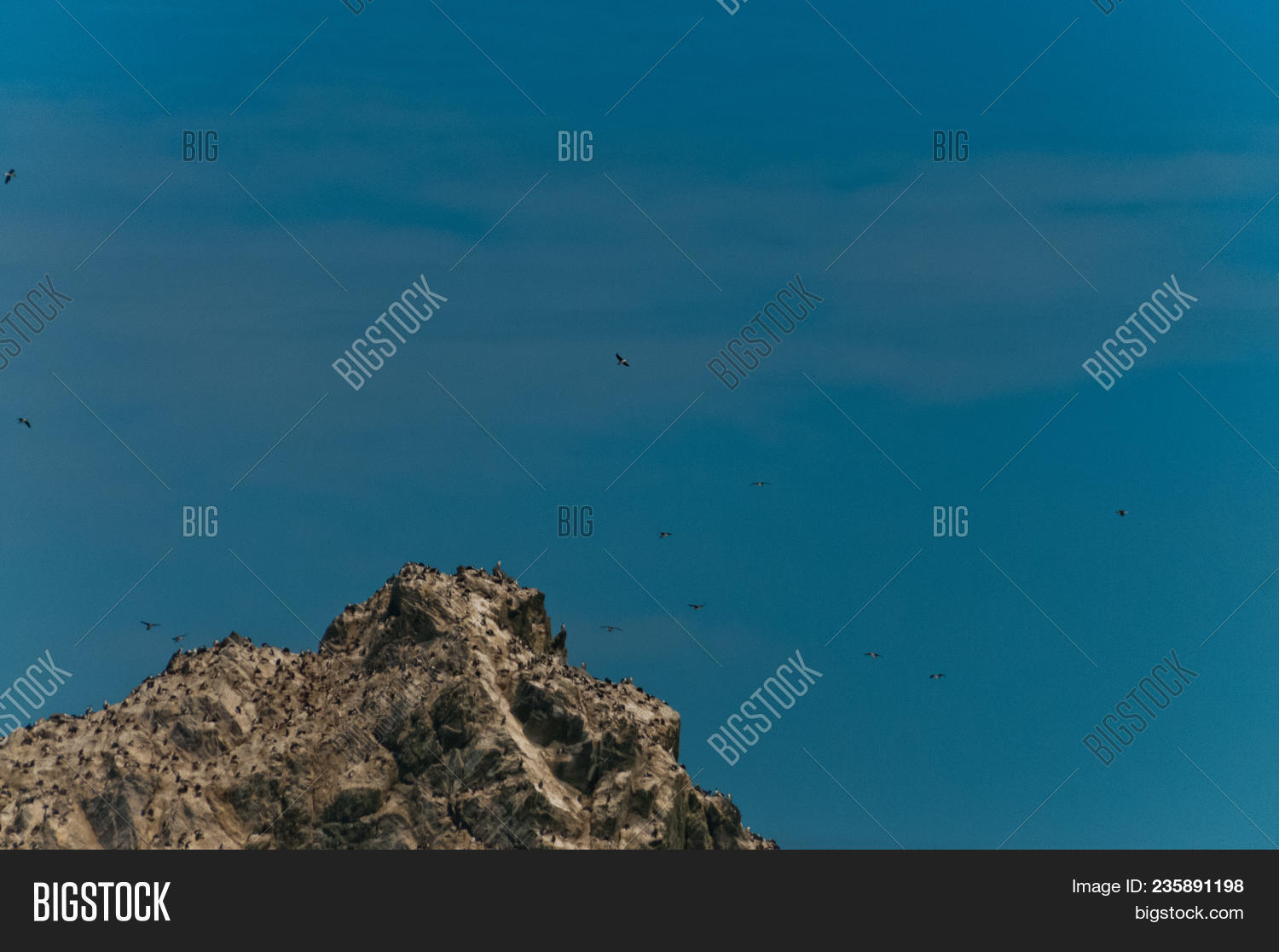 Shag Rovcks Shag Rocks Six Small, Image & Photo (Free Trial) | Bigstock