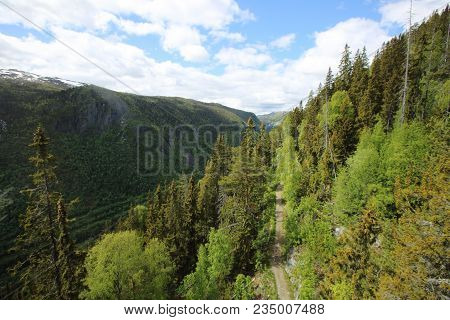 Valley And Mountains