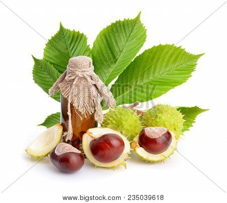 Horse-chestnut (aesculus) Fruits With Leawes And Flower. Isolated On White Background