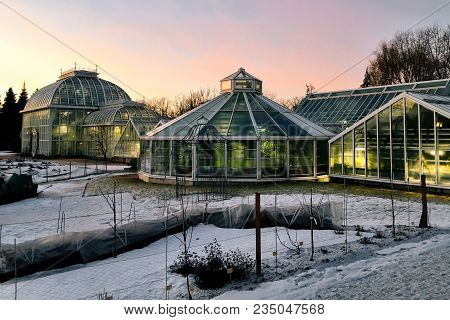 Helsinki, Finland - January 21, 2017: Winter Sunset At Helsinki Botanical Garden