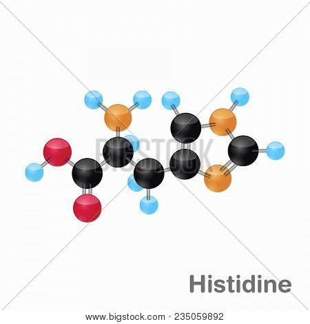 Molecule Of Histidine, His, An Amino Acid Used In The Biosynthesis Of Proteins, Vector Illustration