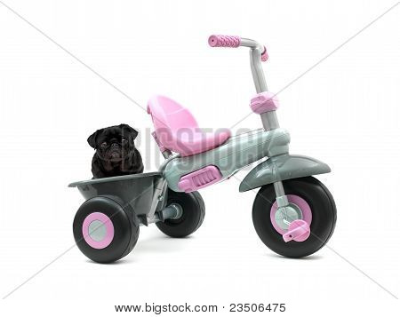 Trike